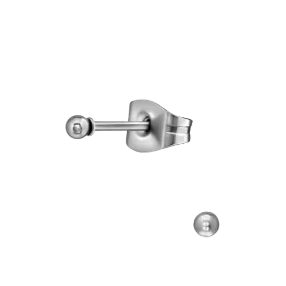 Zweerknopjes Chirurgisch Staal Zilver 2 mm