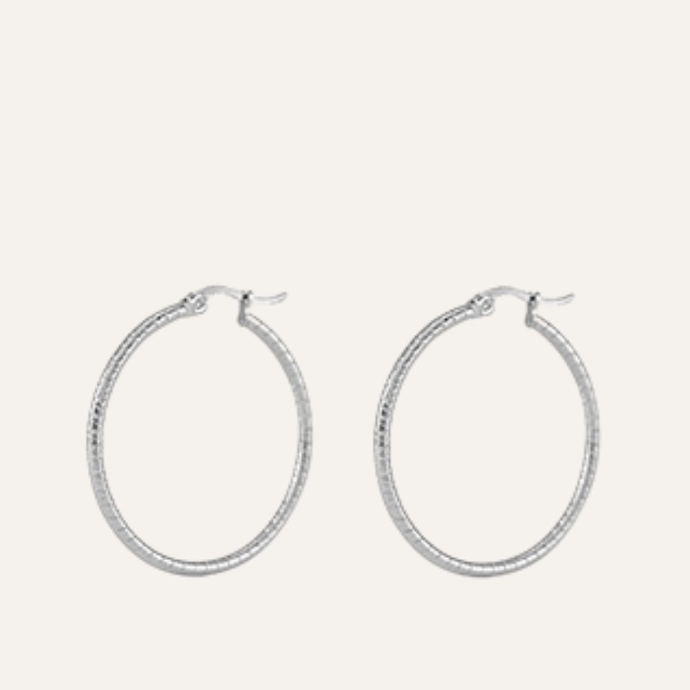 Grote oorringen chirurgisch staal zilver 30 mm Lynn