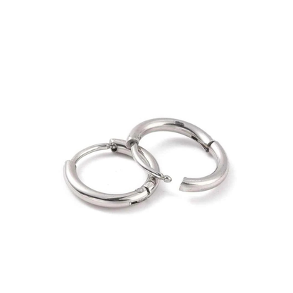 Kleine mini oorringen staal zilverkleurig
