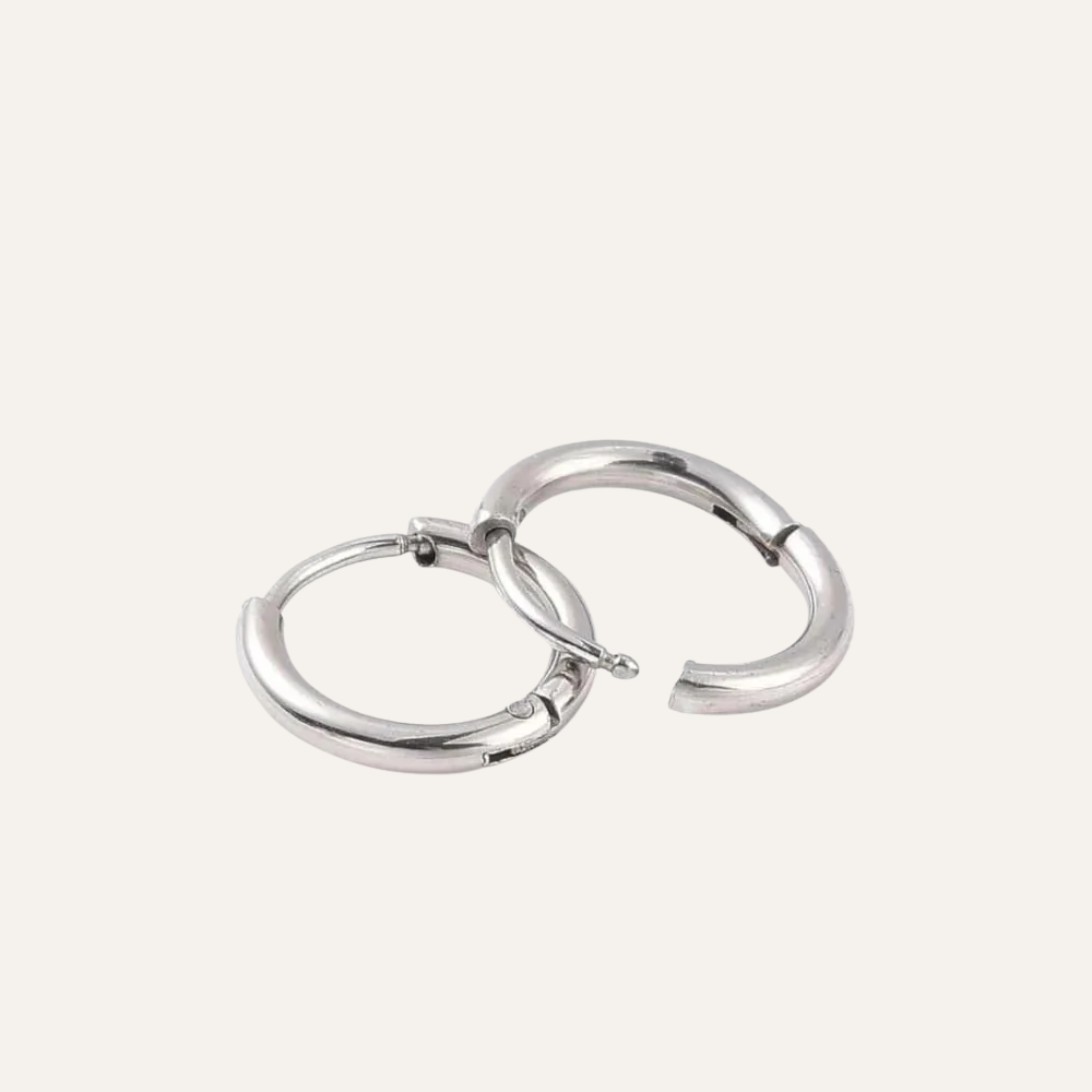 Kleine mini oorringen staal zilverkleurig