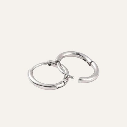 Kleine mini oorringen staal zilverkleurig