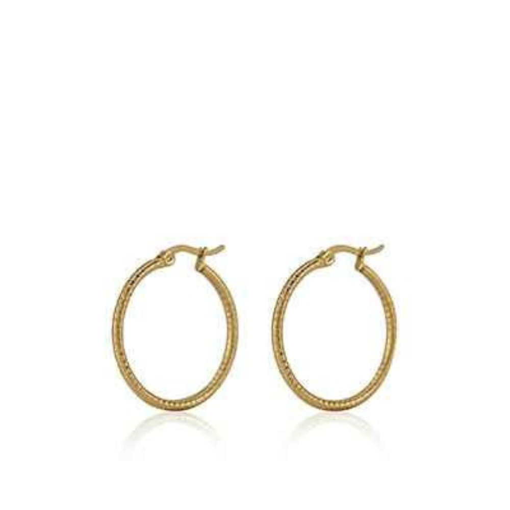 Oorringen goud Rvs 23 mm