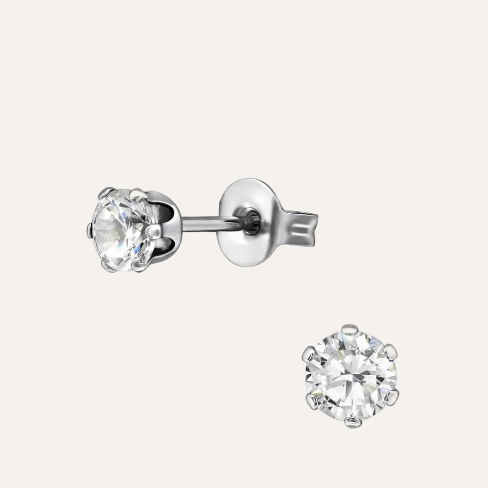 Stalen Zirkonia oorknopjes zilverkleurig