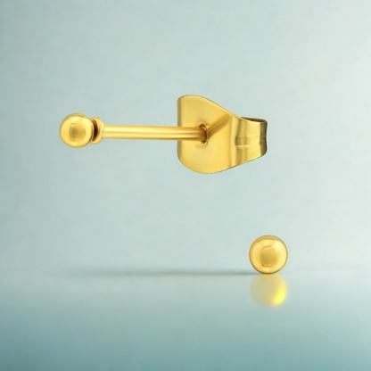 Zweerknopjes Goud RVS 2 mm